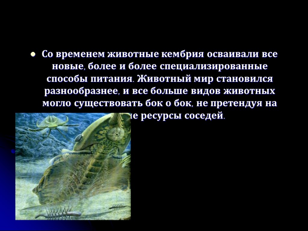 Со временем животные кембрия осваивали все новые, более и более специализированные способы питания. Животный